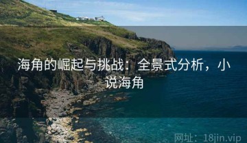 海角的崛起与挑战：全景式分析，小说海角