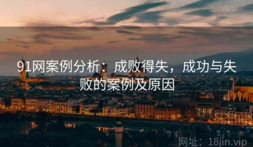 91网案例分析：成败得失，成功与失败的案例及原因