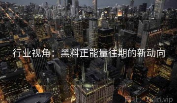 行业视角：黑料正能量往期的新动向