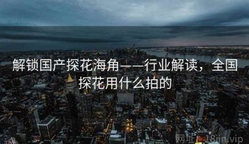 解锁国产探花海角——行业解读，全国探花用什么拍的