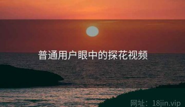 普通用户眼中的探花视频