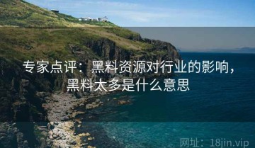 专家点评：黑料资源对行业的影响，黑料太多是什么意思