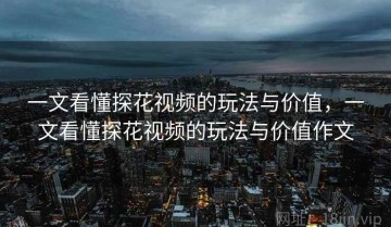 一文看懂探花视频的玩法与价值，一文看懂探花视频的玩法与价值作文