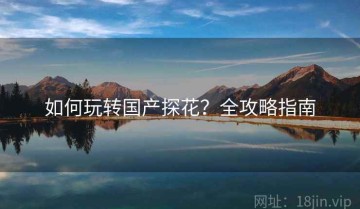 如何玩转国产探花？全攻略指南