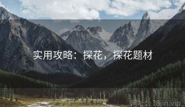 实用攻略：探花，探花题材