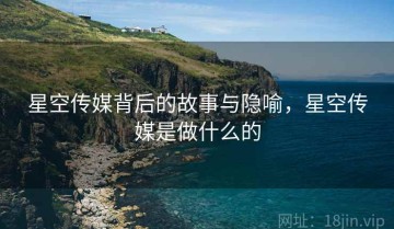 星空传媒背后的故事与隐喻，星空传媒是做什么的