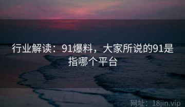 行业解读：91爆料，大家所说的91是指哪个平台