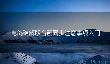 电鸽破解版音画同步注意事项入门