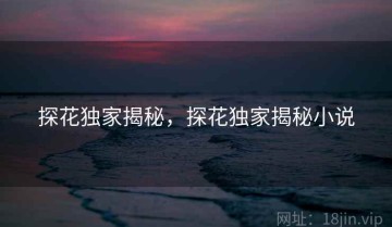 探花独家揭秘，探花独家揭秘小说