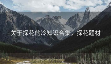 关于探花的冷知识合集，探花题材