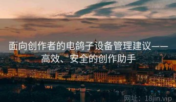 面向创作者的电鸽子设备管理建议——高效、安全的创作助手