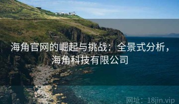 海角官网的崛起与挑战：全景式分析，海角科技有限公司