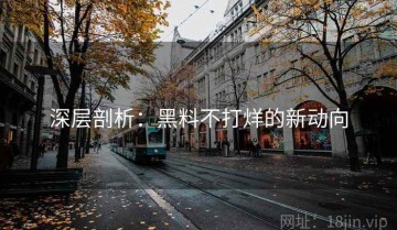 深层剖析：黑料不打烊的新动向