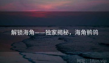 解锁海角——独家揭秘，海角鹡鸰