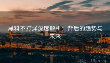 黑料不打烊深度解析：背后的趋势与未来