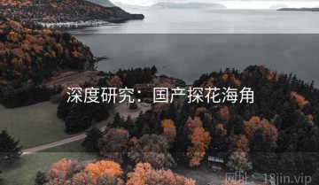 深度研究：国产探花海角