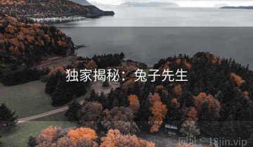 独家揭秘：兔子先生