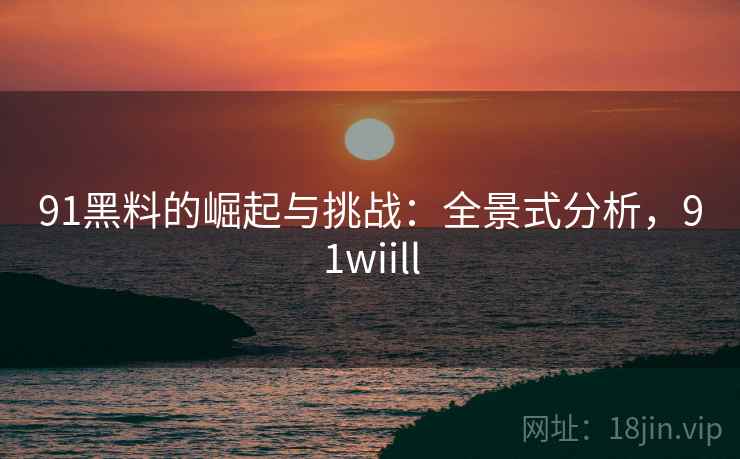 91黑料的崛起与挑战：全景式分析，91wiill