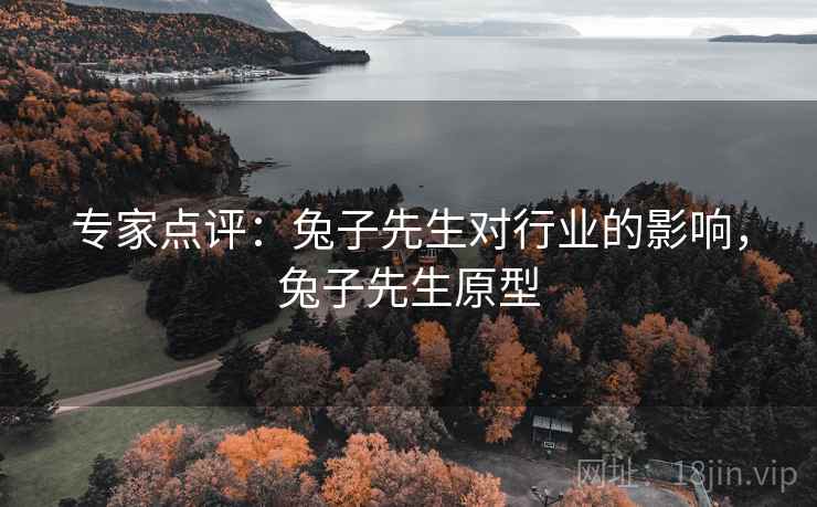专家点评：兔子先生对行业的影响，兔子先生原型