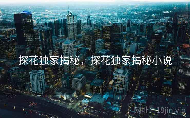 探花独家揭秘，探花独家揭秘小说