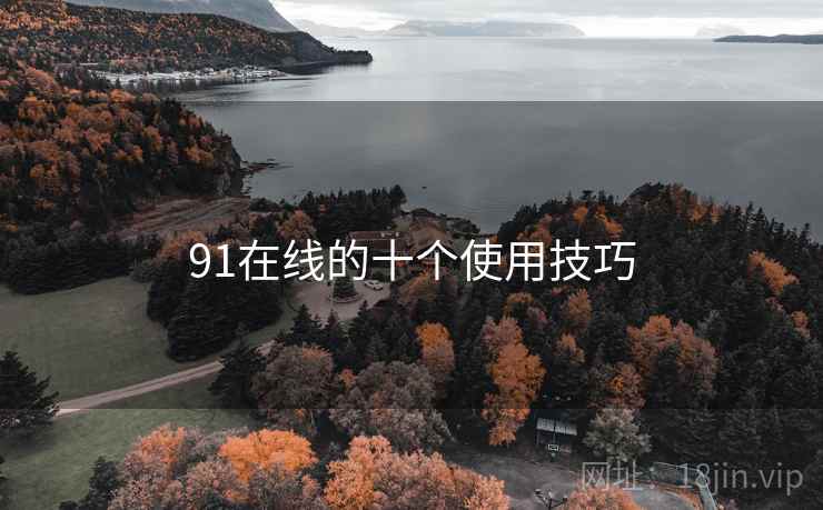 91在线的十个使用技巧