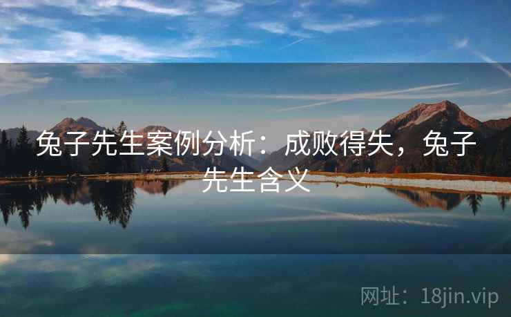 兔子先生案例分析：成败得失，兔子先生含义