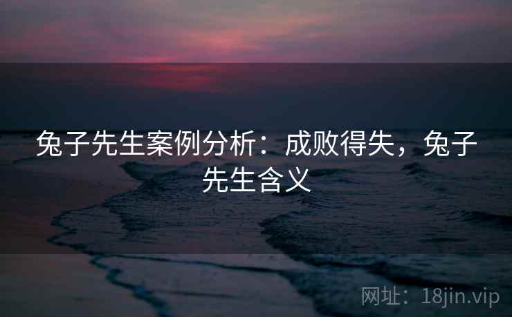 兔子先生案例分析：成败得失，兔子先生含义