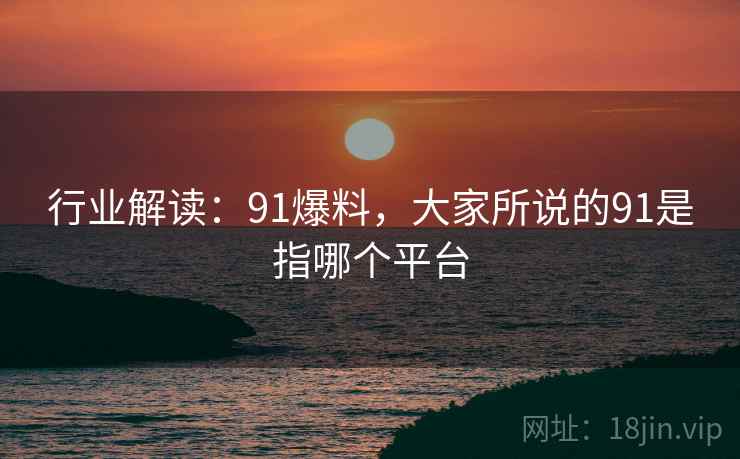 行业解读：91爆料，大家所说的91是指哪个平台
