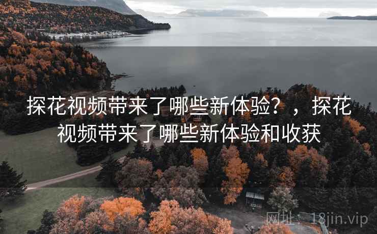 探花视频带来了哪些新体验？，探花视频带来了哪些新体验和收获