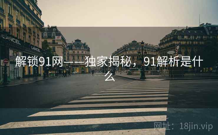 解锁91网——独家揭秘，91解析是什么