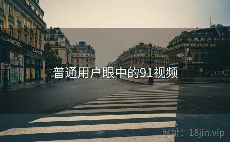 普通用户眼中的91视频