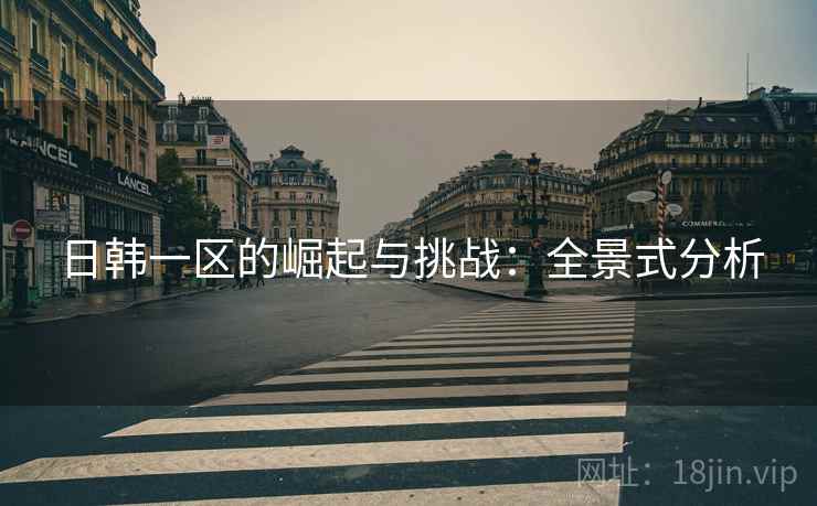 日韩一区的崛起与挑战：全景式分析