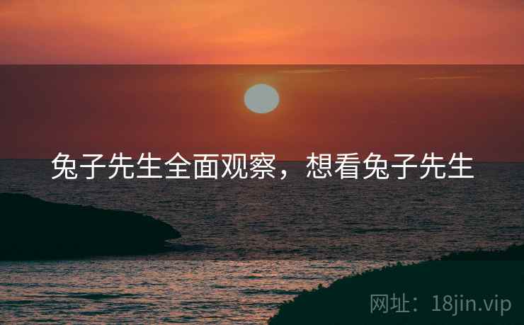 兔子先生全面观察，想看兔子先生