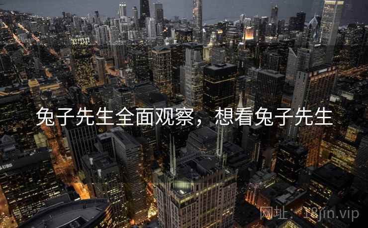 兔子先生全面观察，想看兔子先生