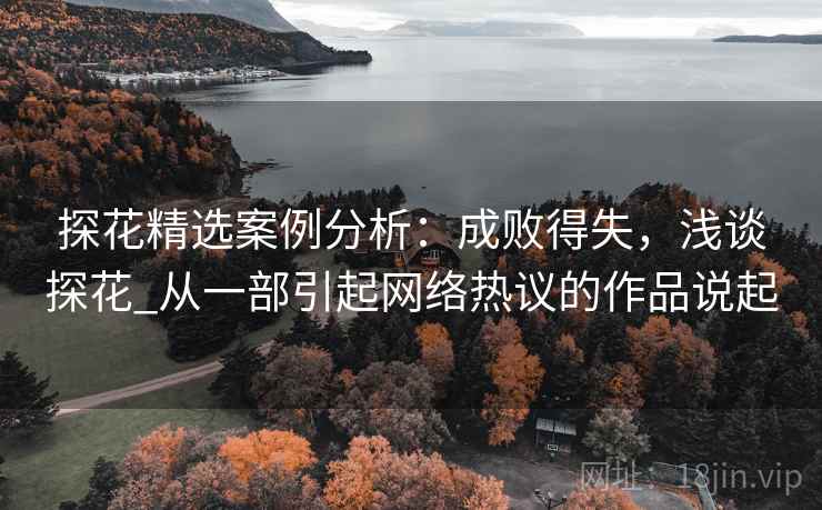 探花精选案例分析：成败得失，浅谈探花_从一部引起网络热议的作品说起