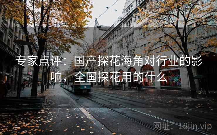 专家点评：国产探花海角对行业的影响，全国探花用的什么