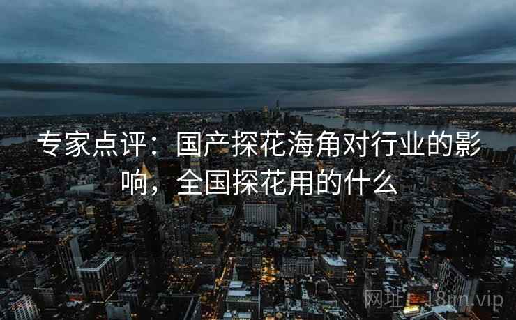 专家点评：国产探花海角对行业的影响，全国探花用的什么