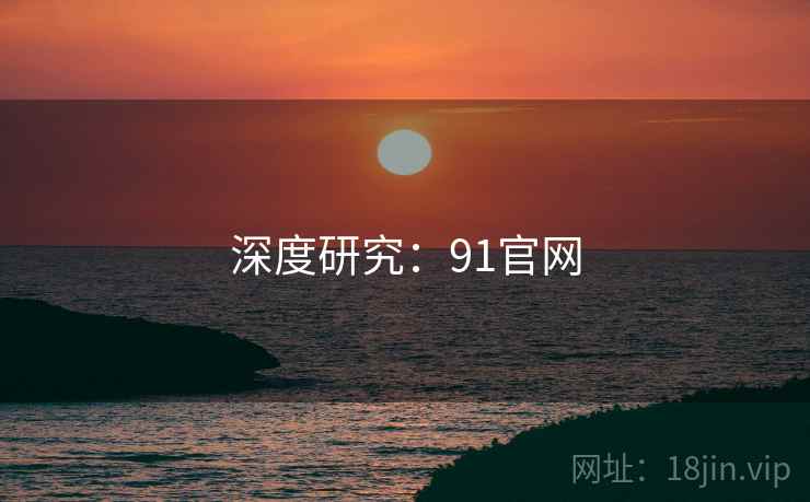 深度研究：91官网