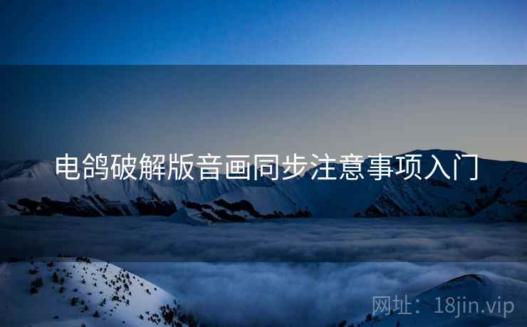 电鸽破解版音画同步注意事项入门