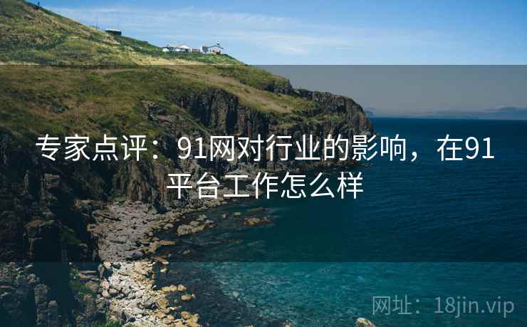 专家点评：91网对行业的影响，在91平台工作怎么样