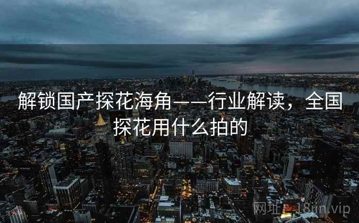 解锁国产探花海角——行业解读，全国探花用什么拍的