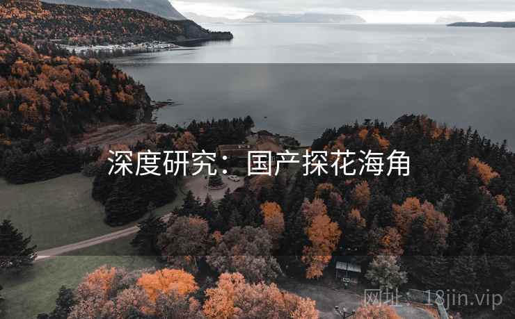 深度研究：国产探花海角