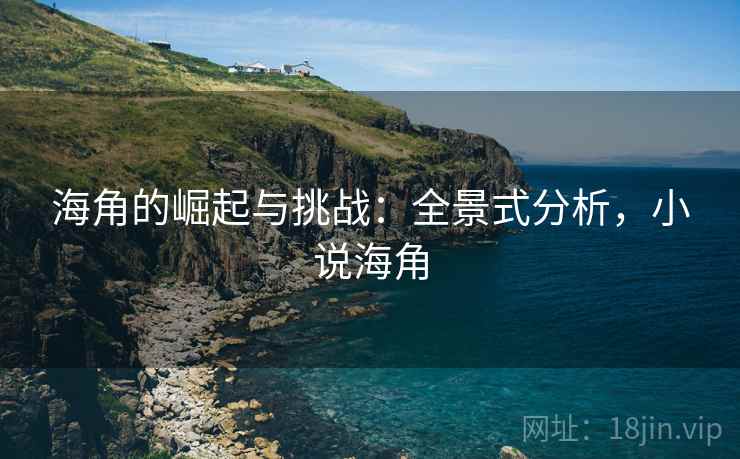 海角的崛起与挑战：全景式分析，小说海角