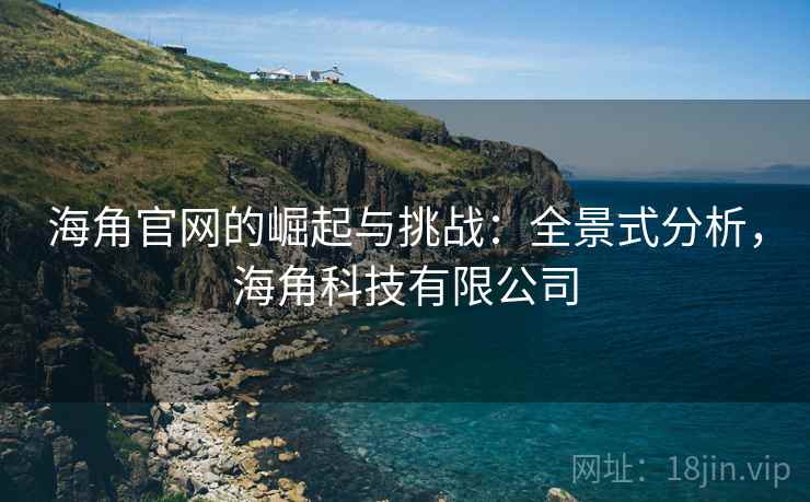 海角官网的崛起与挑战：全景式分析，海角科技有限公司