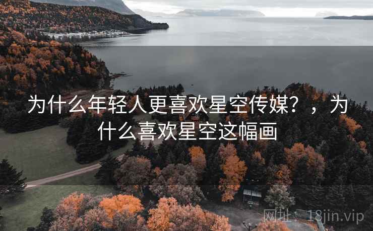 为什么年轻人更喜欢星空传媒？，为什么喜欢星空这幅画