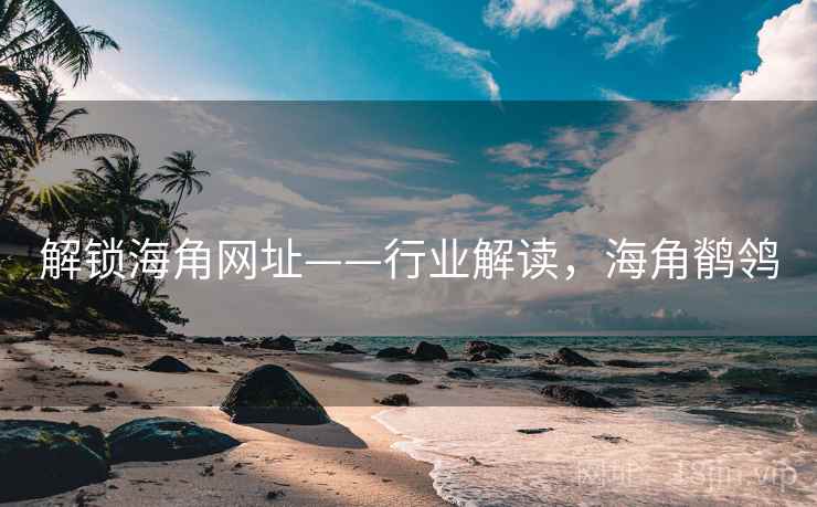 解锁海角网址——行业解读，海角鹡鸰
